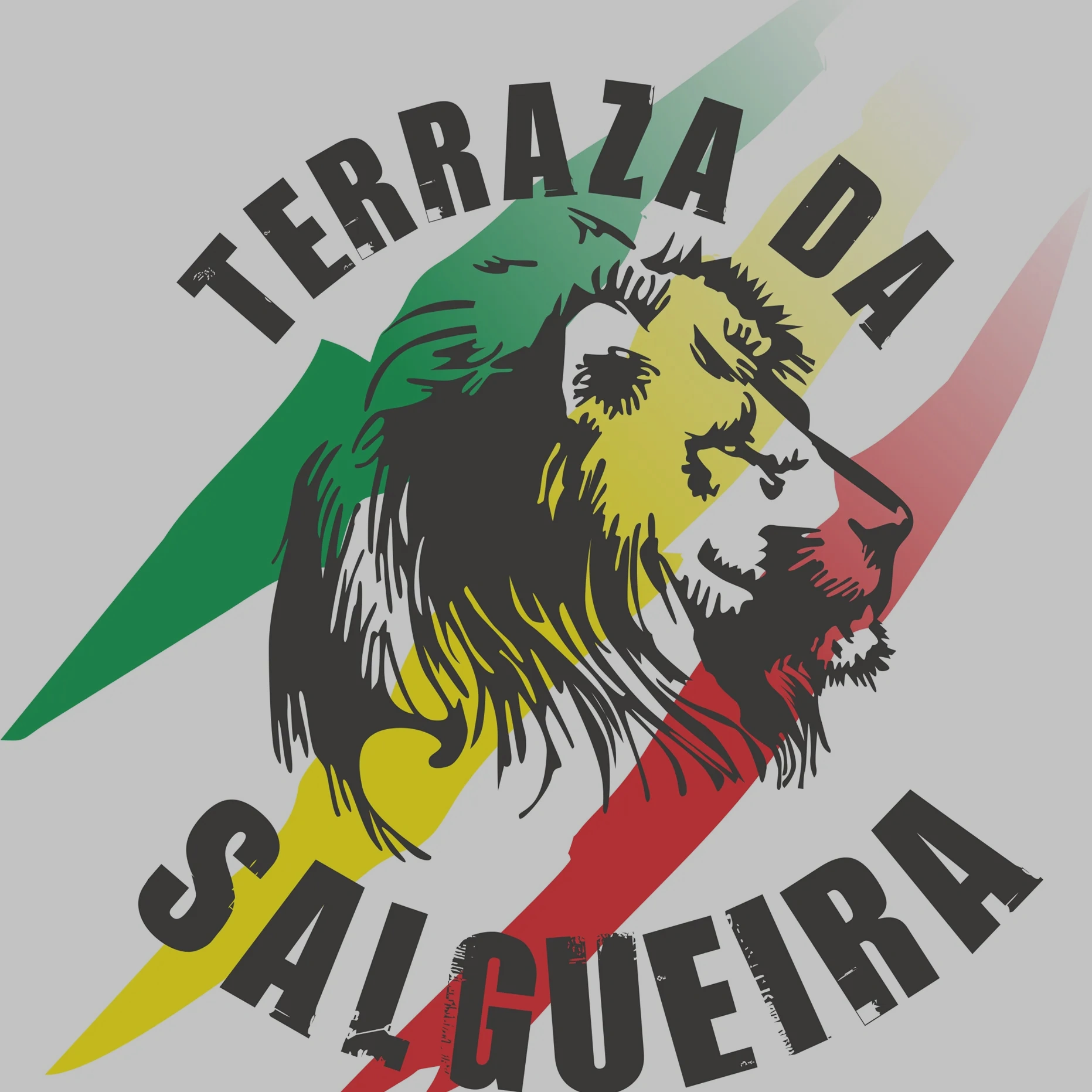 TERRAZA DA SALGUEIRA